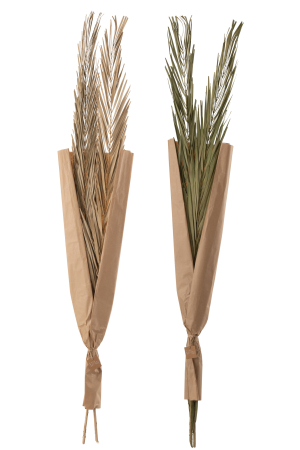 SALE % - Set 2 buc plante uscate, Fibre naturale, Verde, 22x2x145