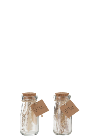 Set 2 decoratiuni, Sticla, Natural, 5x5x10 [1]