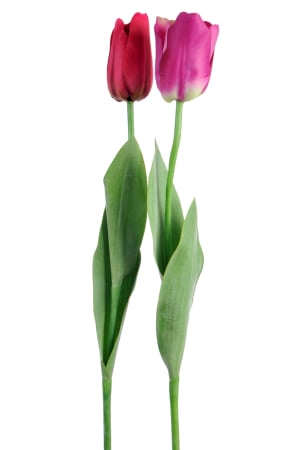 SALE % - Set 2 plante artificiale, Material sintetic, Roz, 10x5x74