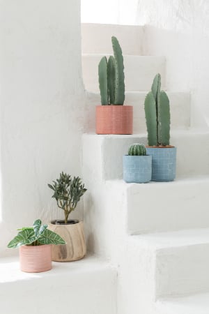 SALE % - Set 2 plante artificiale, Material sintetic, Verde, 22x22x20