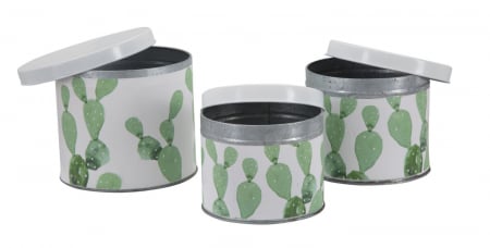 Set 3 cutii Cactus, fier, alb/verde, 15X13.5-14X11.5-12.5X10  cm [6]