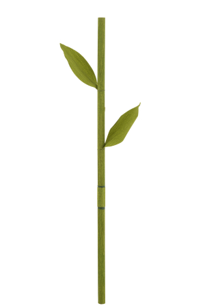 Set 3 flori, Hartie, Multicolor, 73x26x104.5 [2]