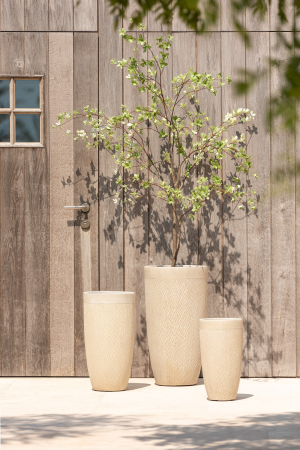Set 3 ghivece Round, Ceramica, Bej, 38x38x72 cm [1]