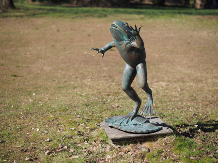 Statuie bronz, Broască săritoare  [7]
