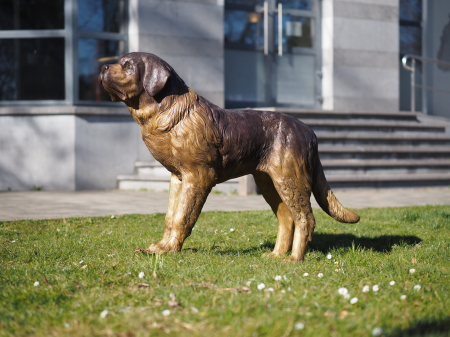Figurine bronz - Statuie bronz, Câine Saint Bernard 