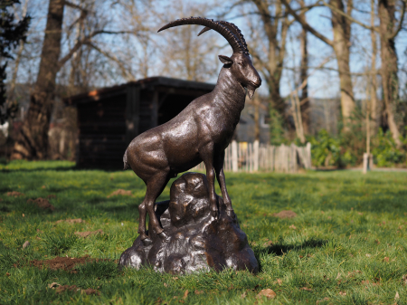 Statuie bronz, Capră de munte lângă stâncă  [3]