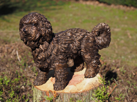 FIGURINE - Statuie bronz, Cățeluș Labradoodle 