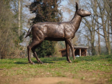 Statuie bronz, Cerb femelă [3]
