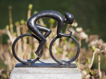 Statuie bronz, Ciclist 23 x 5 x 26 cm [3]
