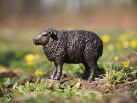 Statuie bronz, Oaie 9 x 6 x 13 cm [6]