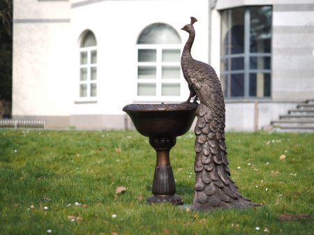 Statuie bronz, Păun pe vază [7]