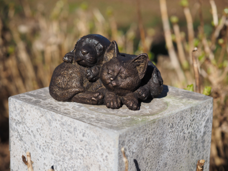 Statuie bronz, Pisică și câine 12 x 15 x 19 cm [1]