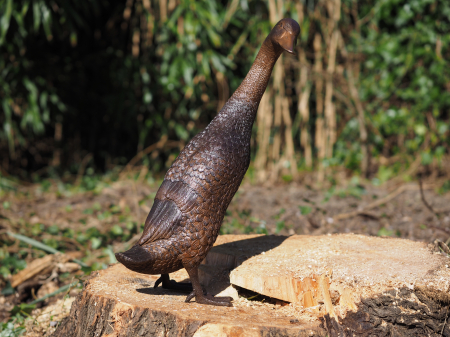 Statuie bronz, Rață cu capul în jos [7]