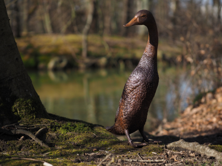 Statuie bronz, Rață cu capul în jos [5]