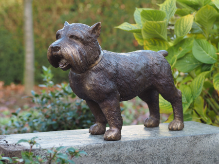 Statui - Statuie caine yorkshire, Bronz, 35 X 17 X 46 cm