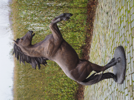 Statuie cal care sta pe picioarele din spate, Bronz, 183 cm 185 X 65 X 120 cm [1]