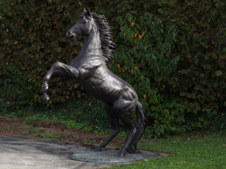 Statui - Statuie cal care sta pe picioarele din spate, Bronz, 227 X 92 X 185 cm