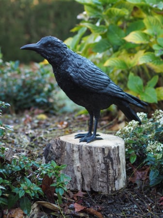 FIGURINE - Statuie cioara barbat, Bronz, 37 X 13 X 55 cm