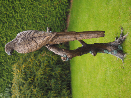 Statui - Statuie papagal in copac, Bronz, 168 X 70 X 70 cm