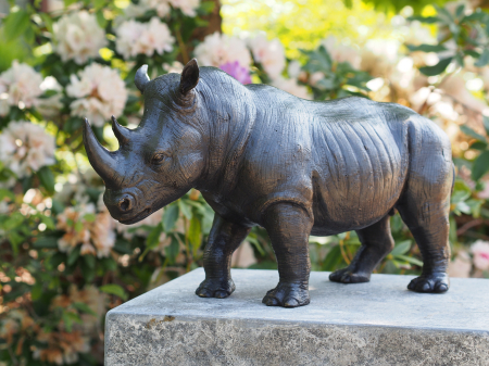 Figurine bronz - Statuie rinocer, Bronz, 27 x 16 x 51 cm