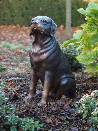 Statui - Statuie rottweiler, Bronz, 64 X 35 X 44 cm