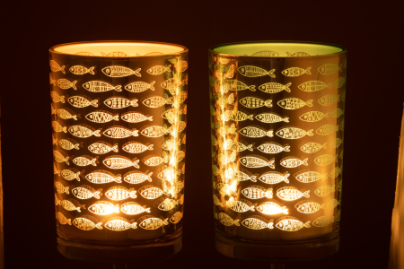 Suport de lumânare, FISH, ASS2 [2]