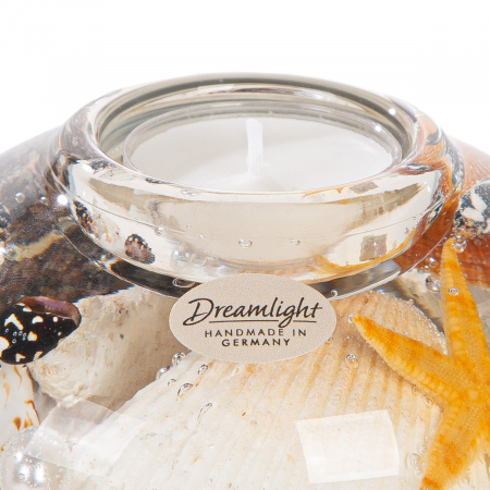 Suport lumânare Dreamlight, Tealight, Contessa, motiv scoici, sticlă, bej, PU 4, L. 11 cm, l. 11 cm, H 8 cm [3]