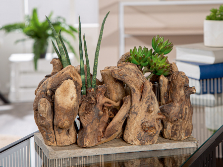 Suport lumanare, Vasă, Lemn, ecru, PU 3, L. 13,5 cm, L. 24 cm, H. 14 cm [2]