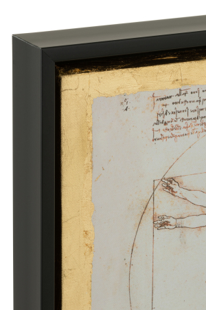 Tablou, HOMME DE VITRUVE [2]