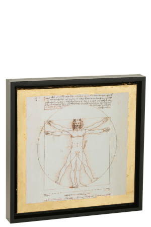 Tablou, HOMME DE VITRUVE [1]