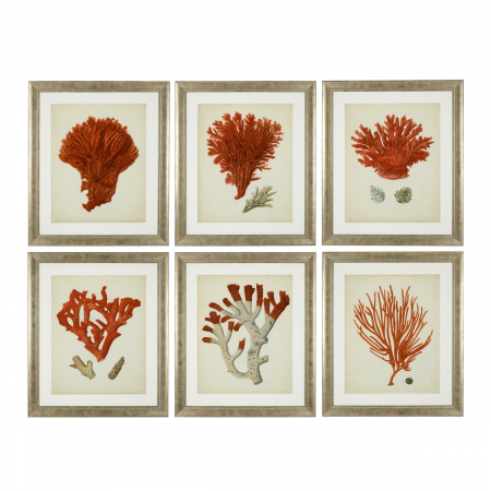 DECORATIUNI - Tablou tipărit, Corali roșii antici set de 6, Dims: W. 57.5 | D. 3 | H. 68 | per frame (CM)