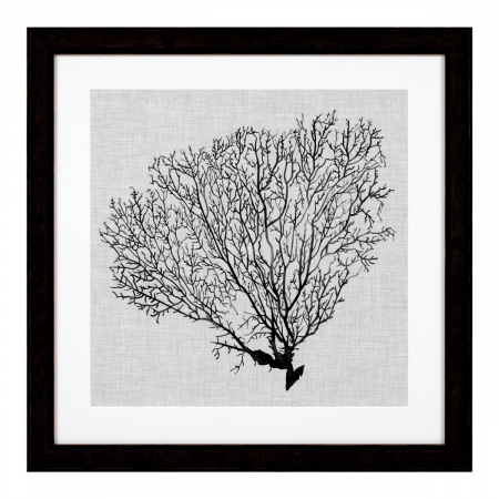 Tablou tipărit, Shadow Sea Fans set de 4, Dims: W. 61.5 | D. 2 | H. 61.5 | per frame (CM) [2]