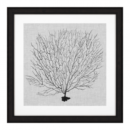Tablou tipărit, Shadow Sea Fans set de 4, Dims: W. 61.5 | D. 2 | H. 61.5 | per frame (CM) [1]