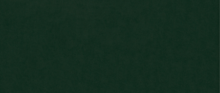 Taburet pentru picioare Clara, Verde inchis, 60x40x50 cm [2]