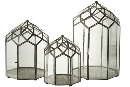 Terarium, Sticla, Negru, 28x28x50.5 cm [2]