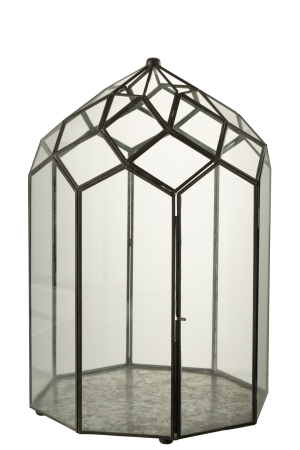 Ghivece si suporturi de flori - Terarium, Sticla, Negru, 28x28x50.5 cm