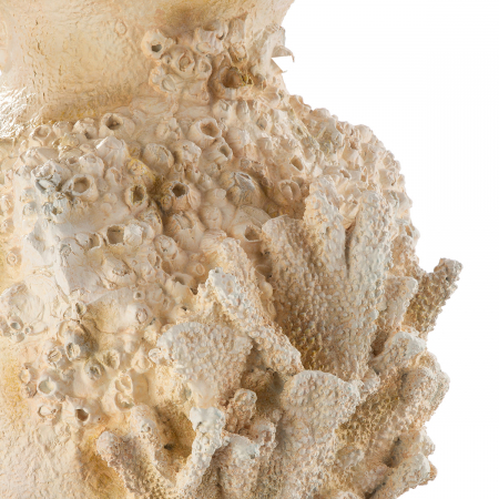 Vază, Amforă, Motiv coral, Rășină sintetică, alb, PU 1, L. 33 cm, L. 39 cm, H 81 cm [3]