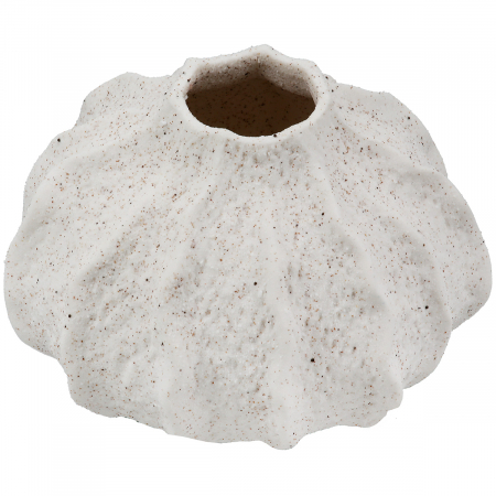 Vaza, Corallo, patata, portelan, crem, PU 8, H. 7,5 cm, D. 12,5 cm [1]