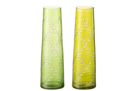 Vaza, LEAVES, ASS2 [1]