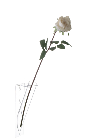 Vaza, Material sintetic, Transparent, 26x6.5x9.5 [1]