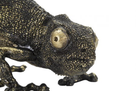 Veioza Lizard, Rasina, Negru/Auriu, 22x37.5x16.5 cm [2]