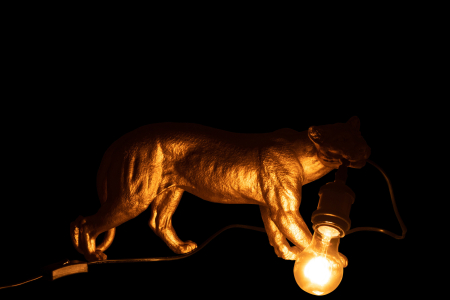 Veioză, Puma Auriu S [2]