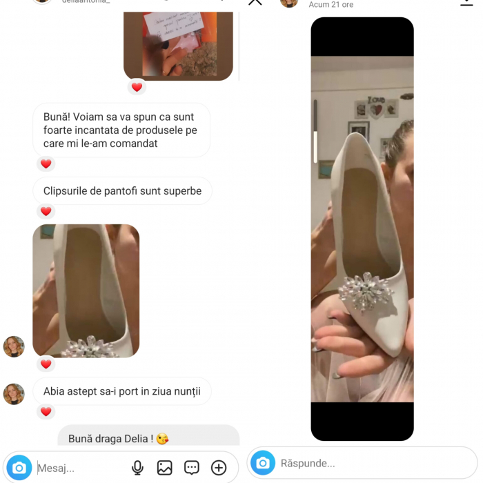 ALEXANDRA - Clipsuri pantofi mireasa cu pietricele [5]