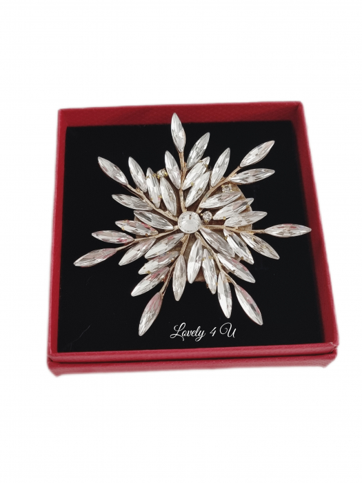 BROSA FULG DE NEA, BROSA FULG, BROSA PIETRICELE, BOSE DAMA, BROSA FEMEI, CADOU DEOSEBIT, CADOU SPECIAL, CADOU DE CRACIUN, CADOU UNICAT, BIJUTERII DE CRACIUN, ACCESORII LOVELY 4 U, PIETRICELE,AUR,FULG [14]
