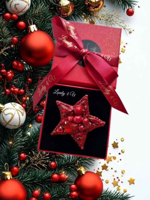 accesorii lovely 4 u, cadou timisoara, brosa stea de iarna cu perle,  stea cu perle, accesorii stea cu perle, steluta de craciun, brosa mare, brose colorate, brose craciun, brose cu pietre naturale, brose handmade, brose handmade colorate de craciun, brose pietre semipretioase, cadouri copii craciun, cadouri craciun, cadouri de craciun, cadouri de craciun pentru copii, cadouri de craciun pentru fete, brosa steluta , brosa alba [3]