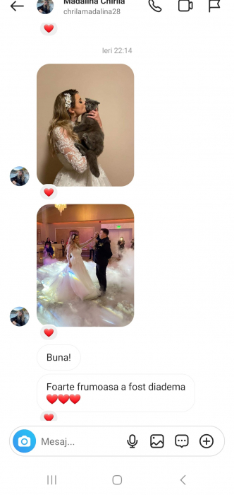 DIADEMA MIREASA, DIADEME CU FLORI MIREASA, ACCESORIU BOEM, diadema cu frunze [13]