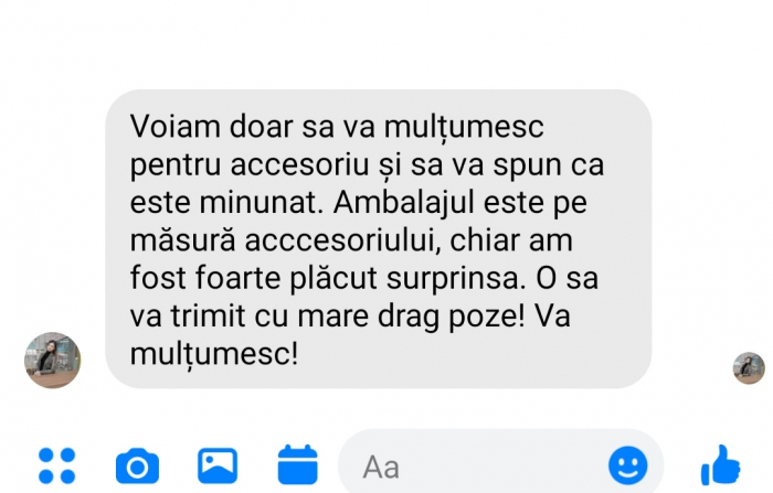 AGRAFA MIREASA, AGRAFE CU PIETRICELE, PIN MIREASA, AGRAFE MIREASA,  ACCESORII DE PAR MIRESE, ACCESORII NUNTA, PIEPTAN VOAL MIREASA, BIJUTERII PAR MIREASA, DIADEMA MIREASA [7]
