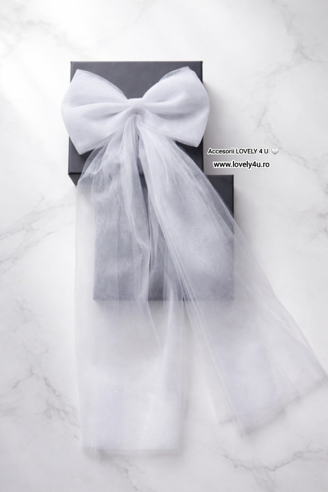 funda mireasă, funda dezgătitul miresei, funda din tull, funda handmade mireasă, accesorii dezgătit mireasă, funda elegantă nuntă, esarfă mireasă, funda cu mesaj, funda mireasă cu mesaj motivațional, accesorii tradiții nuntă, funda mirese românia, funda mireasă AMINA, believe in yourself, you are amazing, accesorii nuntă handmade, accesorii personalizate mireasă, funda pentru finalul nunții, funda mireasă delicată, funda mireasă tull fin, funda cu mesaj pe verso, [2]