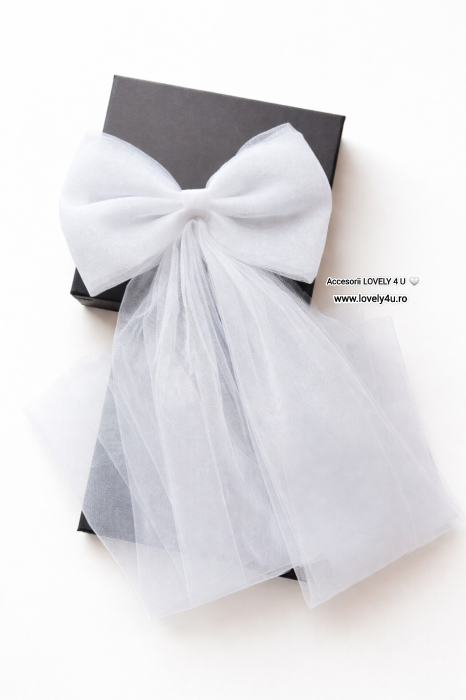 funda mireasă, funda dezgătitul miresei, funda din tull, funda handmade mireasă, accesorii dezgătit mireasă, funda elegantă nuntă, esarfă mireasă, funda cu mesaj, funda mireasă cu mesaj motivațional, accesorii tradiții nuntă, funda mirese românia, funda mireasă AMINA, believe in yourself, you are amazing, accesorii nuntă handmade, accesorii personalizate mireasă, funda pentru finalul nunții, funda mireasă delicată, funda mireasă tull fin, funda cu mesaj pe verso, [4]