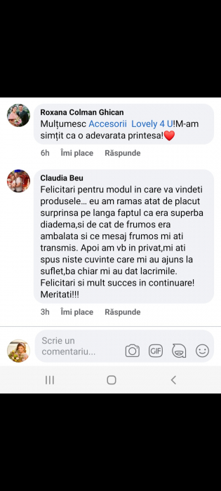 ACCESORII LOVELY 4 U, AGRAFE PAR MIREASA, AGRAFE CU FLORI MIREASA, DIADEMA COC MIREASA,  DIADEMA  MIREASA, ACCESORII CU FLORI MIREASĂ, ACCESORIU MIREASA, ACCESORII DE PĂR MIREASĂ, BIJUTERII MIREASA,   accesorii de lux mireasa, [12]